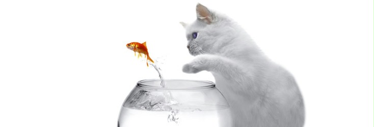 pagina nao encontrada